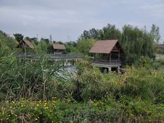 -杨柳河(地铁站)