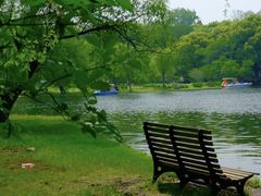 -上海共青森林公园