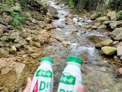 -姑婆山旅游区