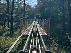-沂蒙山旅游区云蒙景区(蒙山国家森林公园)
