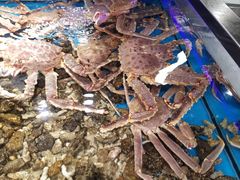 -盒马鲜生(岭南新世界店)