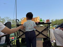 -上海海湾国家森林公园