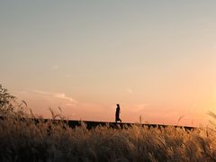 -盘龙城国家考古遗址公园