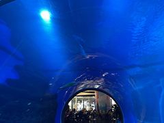 -成都浩海立方海洋公园