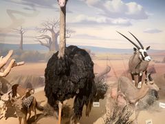 -陕西自然博物馆