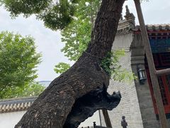 -保定直隶总督署博物馆