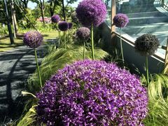 -上海植物园-4号门售票处