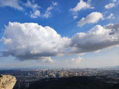 -长虫山生态公园风景林