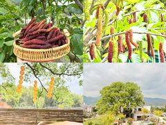 -庐山天沐温泉度假村