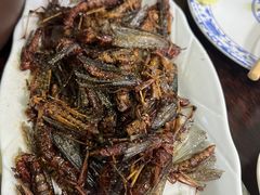 -老保定驴肉馆(云岗路店)