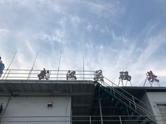 -武汉关码头(轮渡站)