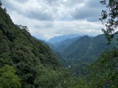 -都江堰石锅鱼