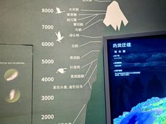 -中国湿地博物馆