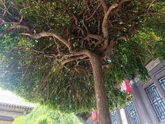 -梁思成纪念馆