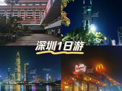 -深圳人才公园