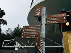-大澳