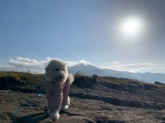 -灵山