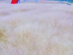 -嘉北郊野公园