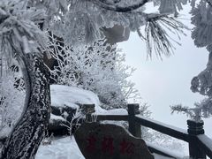 -九华山风景区