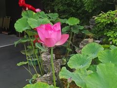 -观宴·品质赣菜(高新大道店)