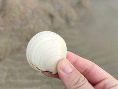 -嵊泗基湖沙滩
