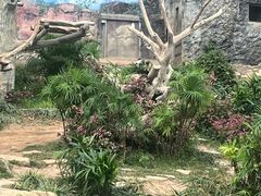 -石排湾郊野公园