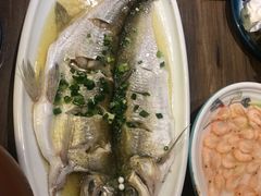 清蒸鲜白鱼-锡和无锡菜(景丽苑店)