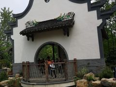 -东平国家森林公园