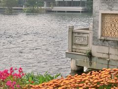 -荔湾湖公园