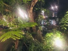 -Fern Forest Cafe