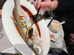 清蒸白水鱼-醉庐·新上海菜(南京西路店)