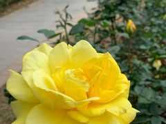 -人民公园(罗湖区)