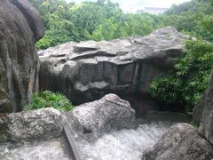 -金鸡山公园