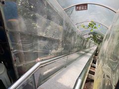 -梅岭月亮湾山体公园