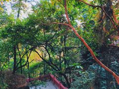 -南国桃园旅游度假区