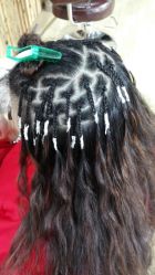 picture-镁连社·美联社