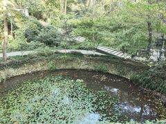 -虎跑公园