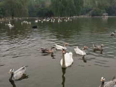 -西安秦岭野生动物园