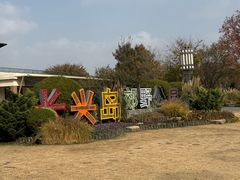 -上海长兴岛郊野公园