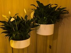 -四季花城功能SPA(科技四路店)