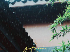 -望江楼公园