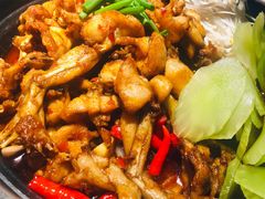香辣味铁锅牛蛙-蛙小侠(吾悦广场店)