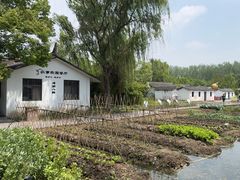 -溱湖国家湿地公园