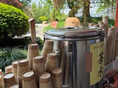 -庐山风景名胜区-东林大佛