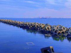 -东疆建设开发纪念公园