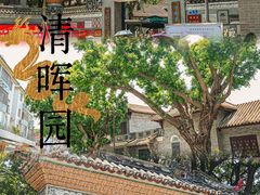 -豆豆冰室·地道招牌椰子冻(大良店)