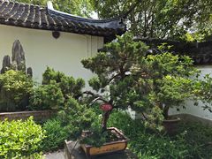 -上海醉白池公园