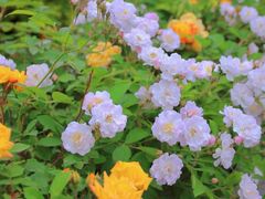 -沕沕水生态风景区