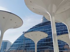 -新荟城(望京店)