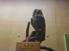 -陕西自然博物馆